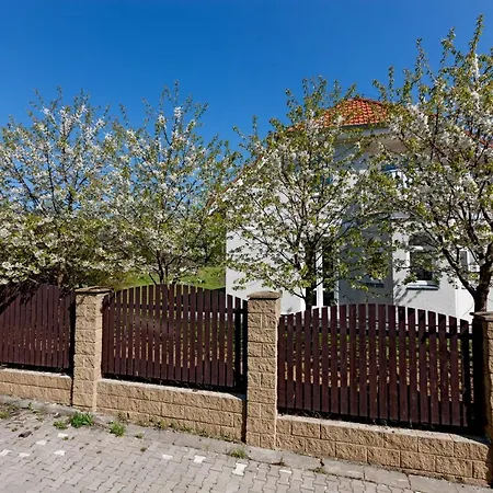 Idyllicprague Cherry Tree